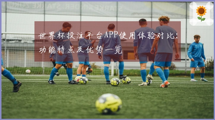 世界杯投注平台APP使用体验对比：功能特点及优势一览