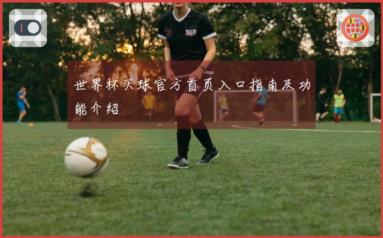 世界杯买球官方首页入口指南及功能介绍
