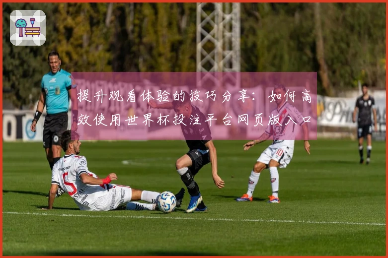 提升观看体验的技巧分享：如何高效使用世界杯投注平台网页版入口