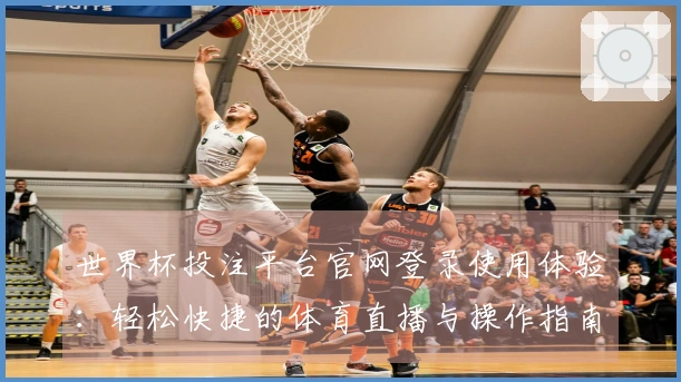 世界杯投注平台官网登录使用体验：轻松快捷的体育直播与操作指南