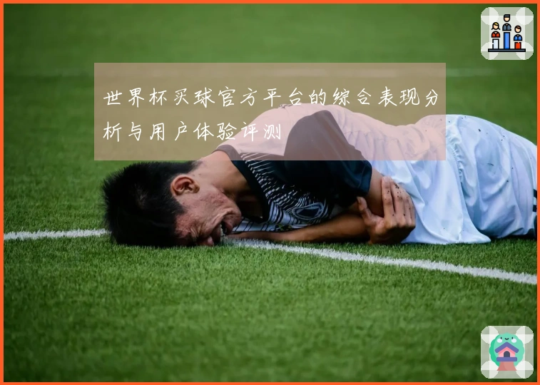 世界杯买球官方平台的综合表现分析与用户体验评测