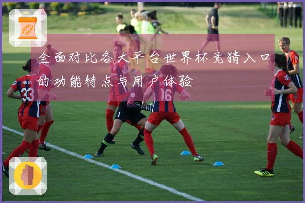 全面对比各大平台世界杯竞猜入口的功能特点与用户体验