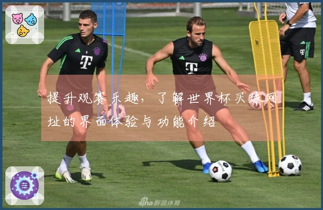 提升观赛乐趣，了解世界杯买球网址的界面体验与功能介绍