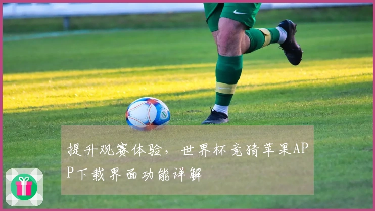 提升观赛体验，世界杯竞猜苹果APP下载界面功能详解