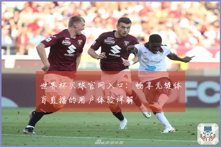 世界杯买球官网入口：畅享无缝体育直播的用户体验详解