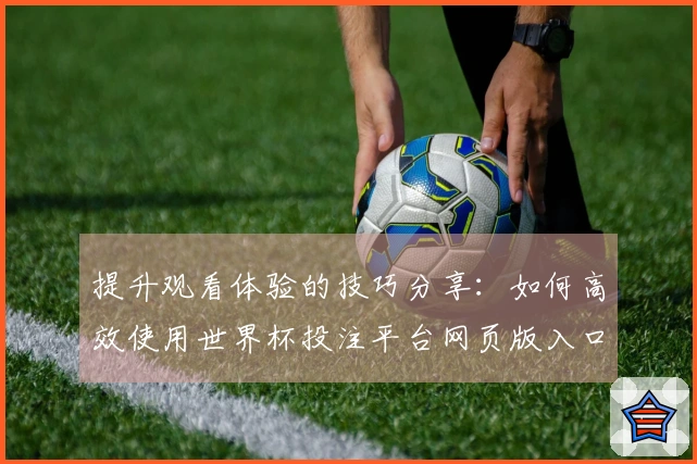 提升观看体验的技巧分享：如何高效使用世界杯投注平台网页版入口