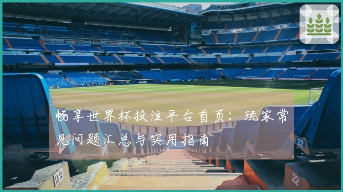 畅享世界杯投注平台首页：玩家常见问题汇总与实用指南