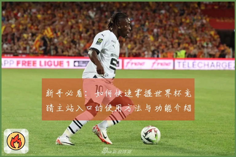 新手必看：如何快速掌握世界杯竞猜主站入口的使用方法与功能介绍