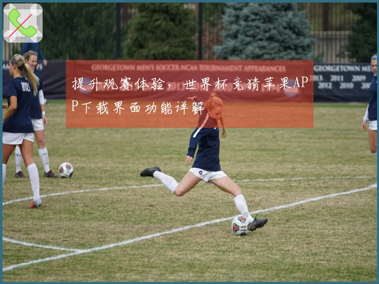 提升观赛体验，世界杯竞猜苹果APP下载界面功能详解